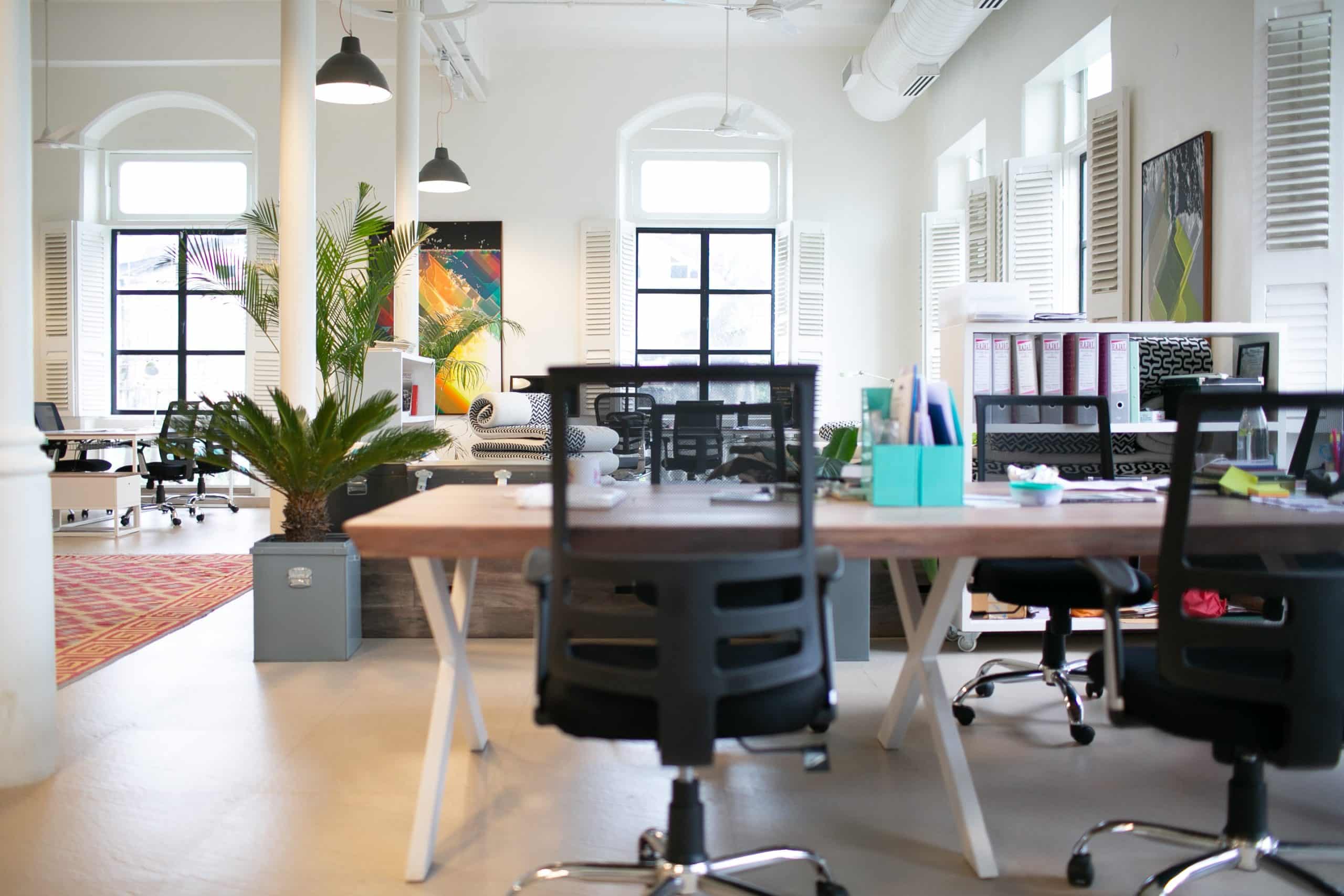 How to Incorporate Biophilic Design into Your Office 